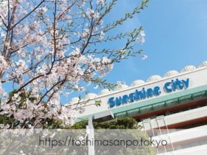 【池袋駅】４月４日から開催「お花見フェアinサンシャインシティ」が楽しそう！これぞ都会のお花見。のイメージ