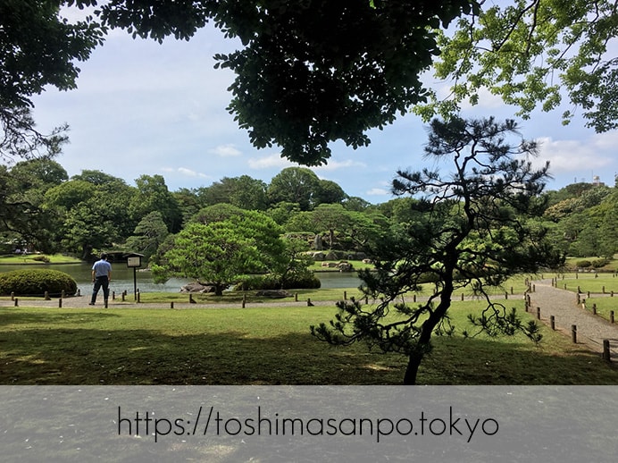 【駒込駅】歴史を学ぶいい日にしよう。和歌山市を模した江戸時代の庭園「六義園」で涼をとろう。の六義園の庭園内2