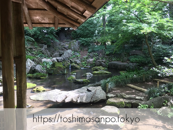【駒込駅】歴史を学ぶいい日にしよう。和歌山市を模した江戸時代の庭園「六義園」で涼をとろう。の六義園の庭園内5