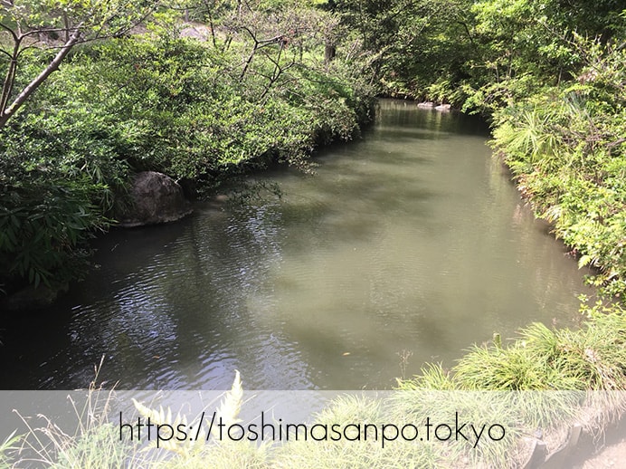 【駒込駅】歴史を学ぶいい日にしよう。和歌山市を模した江戸時代の庭園「六義園」で涼をとろう。の六義園の庭園内6