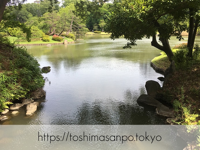 【駒込駅】歴史を学ぶいい日にしよう。和歌山市を模した江戸時代の庭園「六義園」で涼をとろう。の六義園の庭園内7