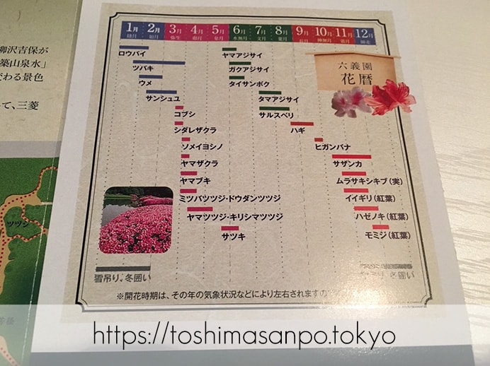 【駒込駅】歴史を学ぶいい日にしよう。和歌山市を模した江戸時代の庭園「六義園」で涼をとろう。の六義園の花歴