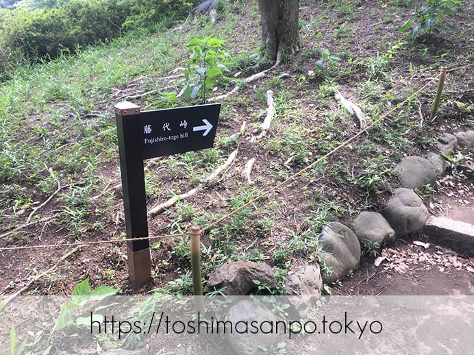 【駒込駅】歴史を学ぶいい日にしよう。和歌山市を模した江戸時代の庭園「六義園」で涼をとろう。の六義園の藤代峠1