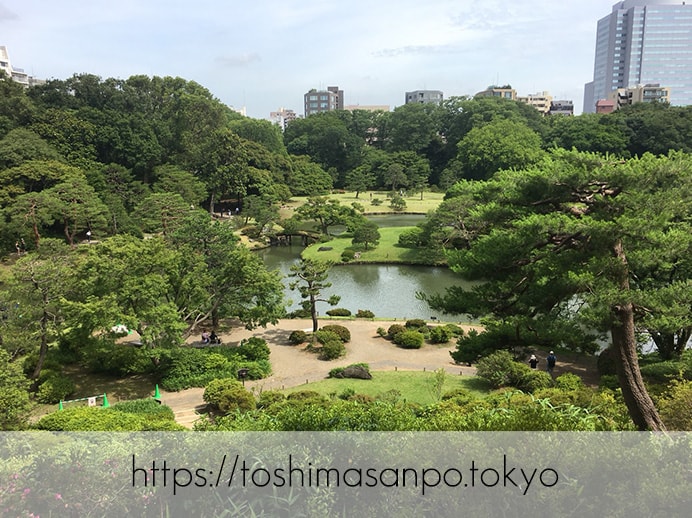 【駒込駅】歴史を学ぶいい日にしよう。和歌山市を模した江戸時代の庭園「六義園」で涼をとろう。の六義園を一望