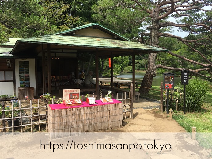 【駒込駅】歴史を学ぶいい日にしよう。和歌山市を模した江戸時代の庭園「六義園」で涼をとろう。の六義園の吹上茶屋1