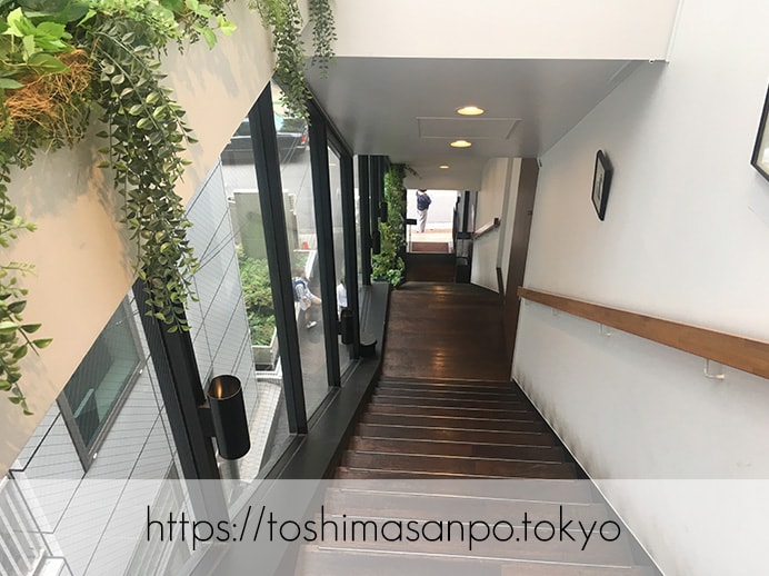 【新宿駅】いい雰囲気イタリアンランチするなら超おすすめ｢オッティモ・シーフード・ガーデン｣へ入る階段